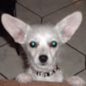 Meet your Posher, Mary